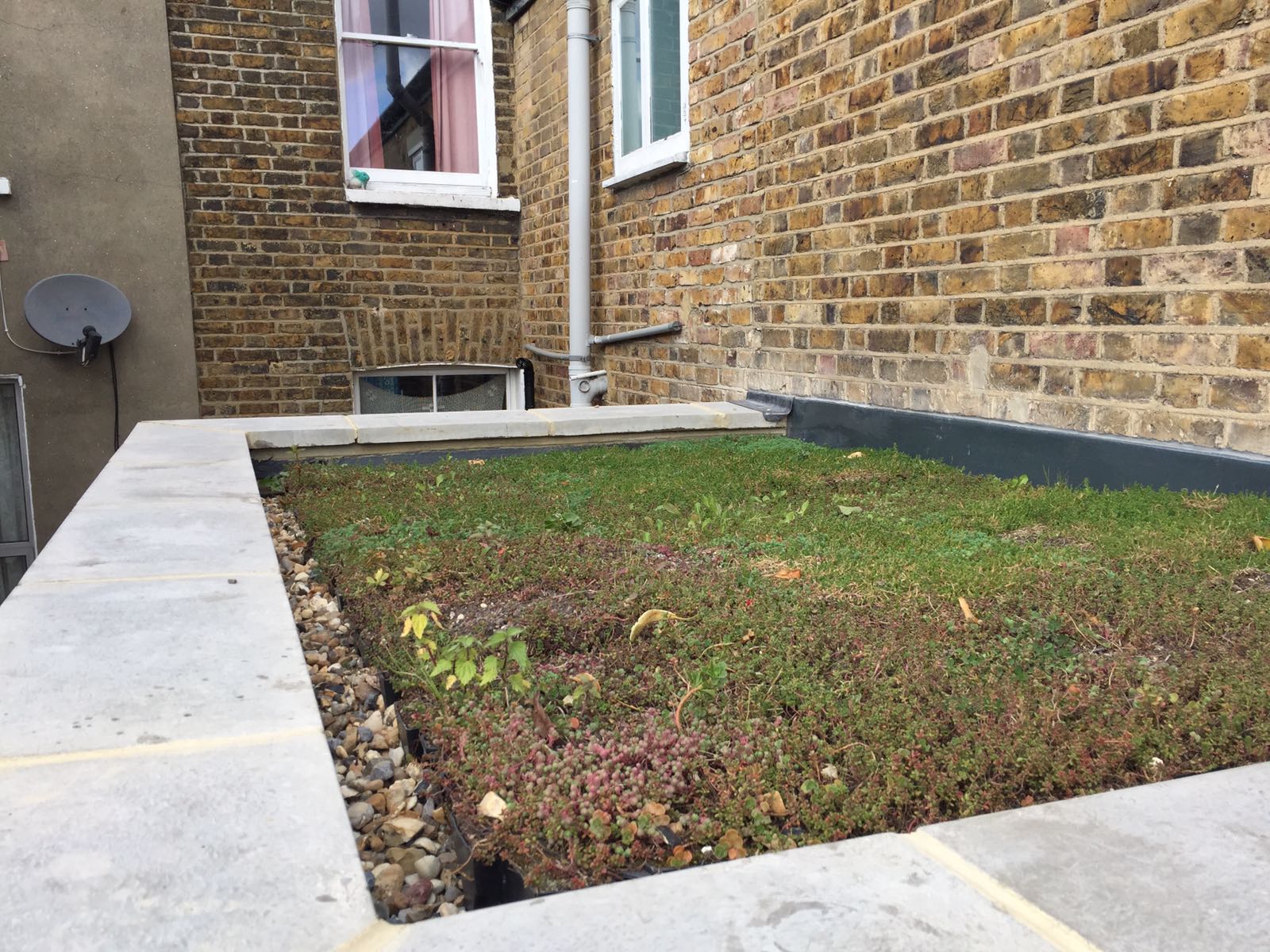 Fibreglass flat roof with an eco green roof.