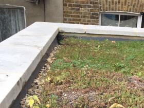 Fibreglass flat roof with an eco green roof.